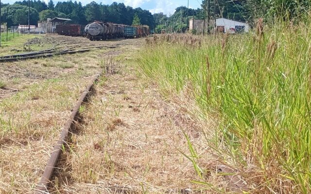 Nova concessão da Malha Sul enfrenta impasses sobre passivo, investimentos e modelagem